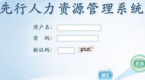 山東先行軟件信息技術 助力煙臺與山東地區軟件開發與網站建設